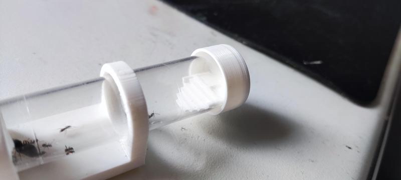 Ant feeder with a plug