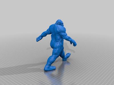 Sasquatch/Bigfoot 