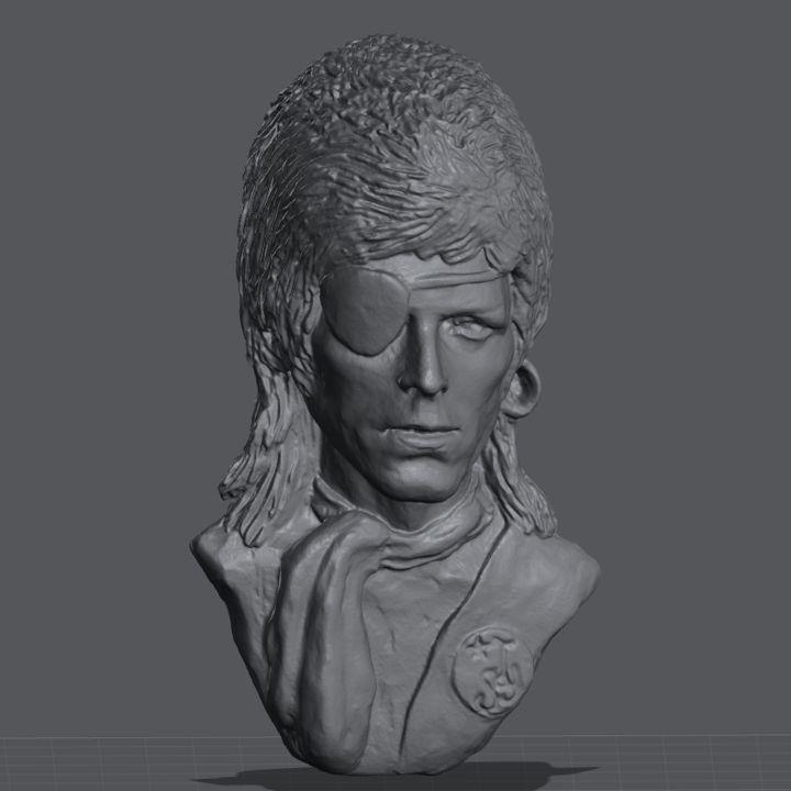 Davie Bowie Patch wall palque