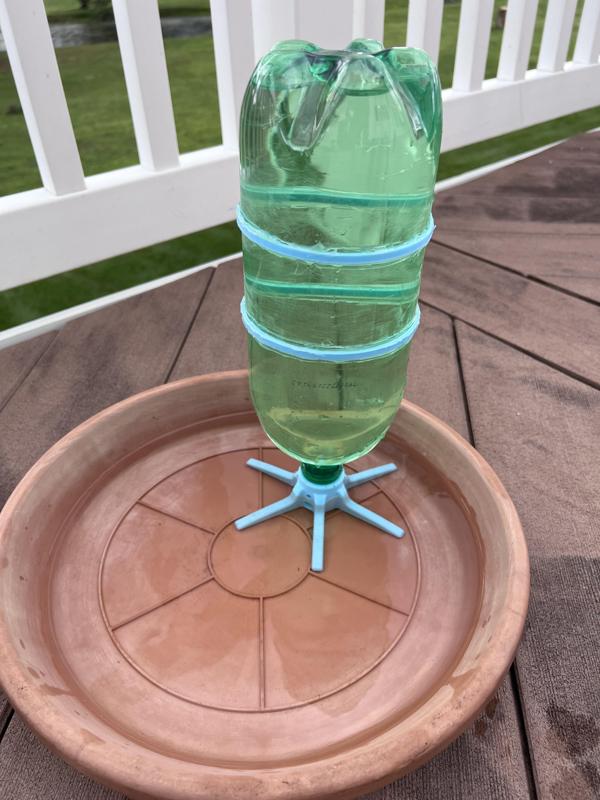 Self Watering Bird Bath