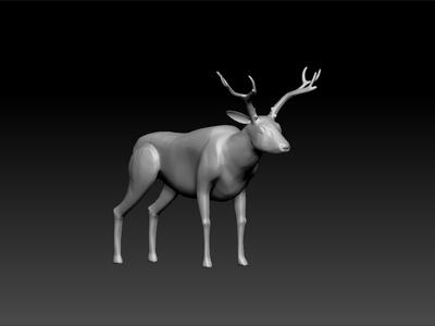 Deer - realistic deer - deer for game unity3d - deer for ue5