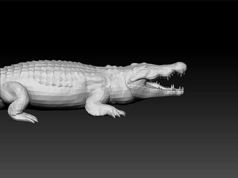 Crocodile - Crocodilefor game - unity 3d - ue5- Crocodile toy
