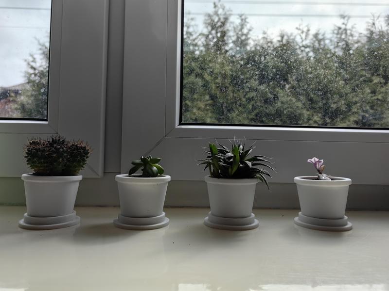 Small Flowerpots