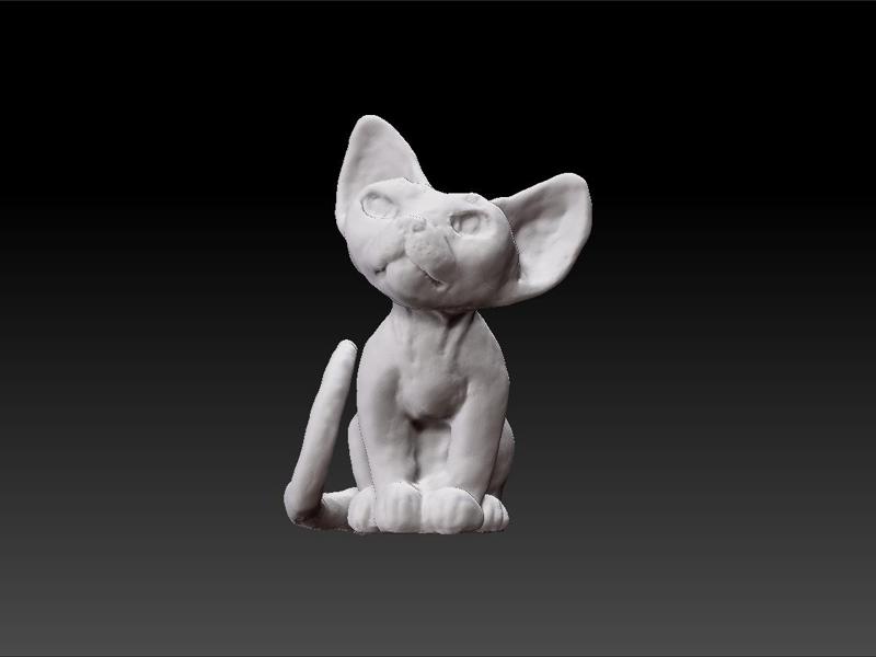 Cat - decoration cat