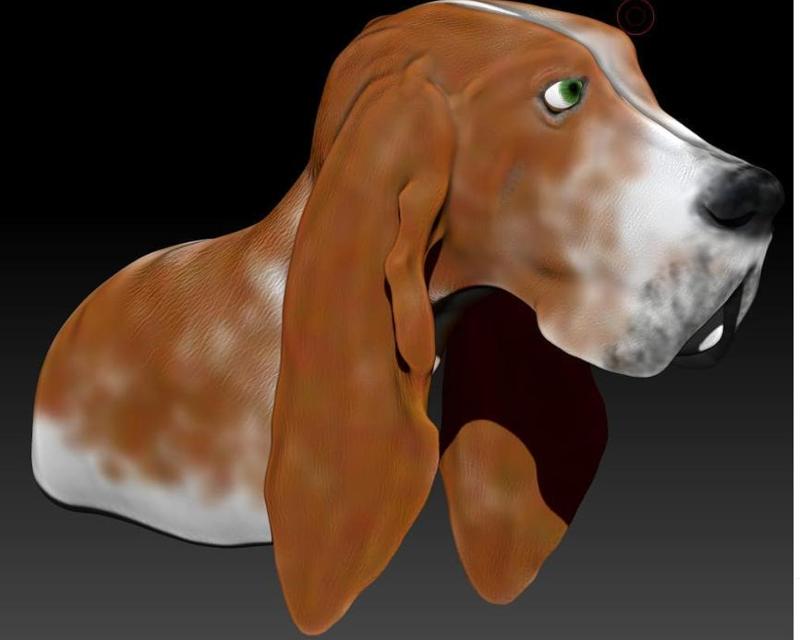 Basset Hound Bust "Himawari"