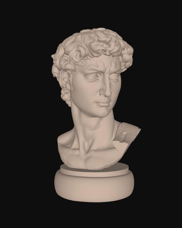 Bust of David by Michelangelo