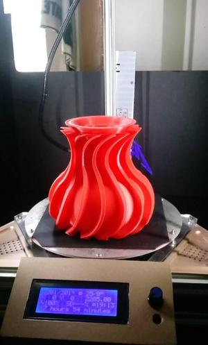 semi spiral vase