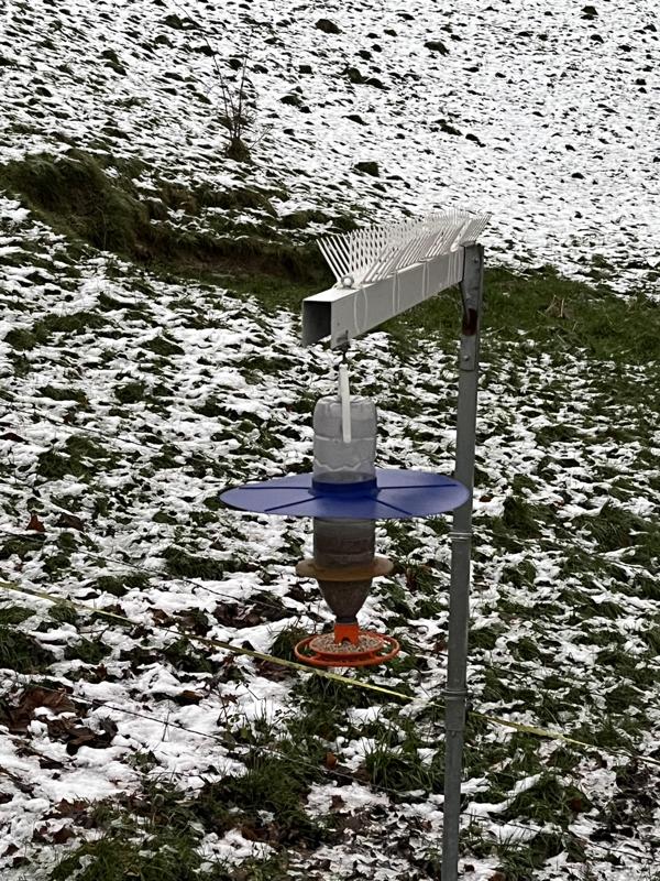 Bird feeder Evian bottle