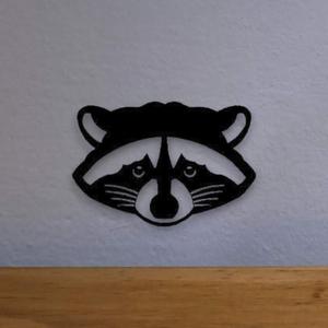 Raccoon