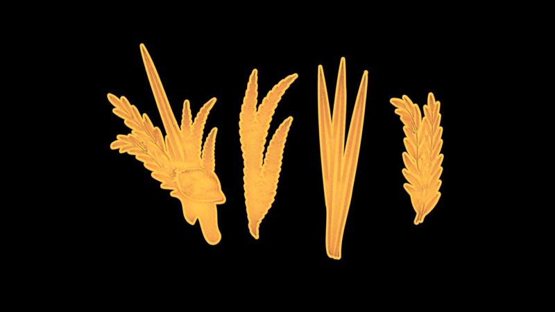 Sukkot (Pack of 4 CALLET CUTTERS)