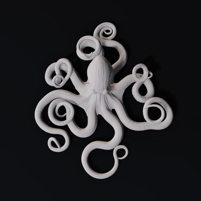 Octopus Hangable Wall Decoration for Air Plants