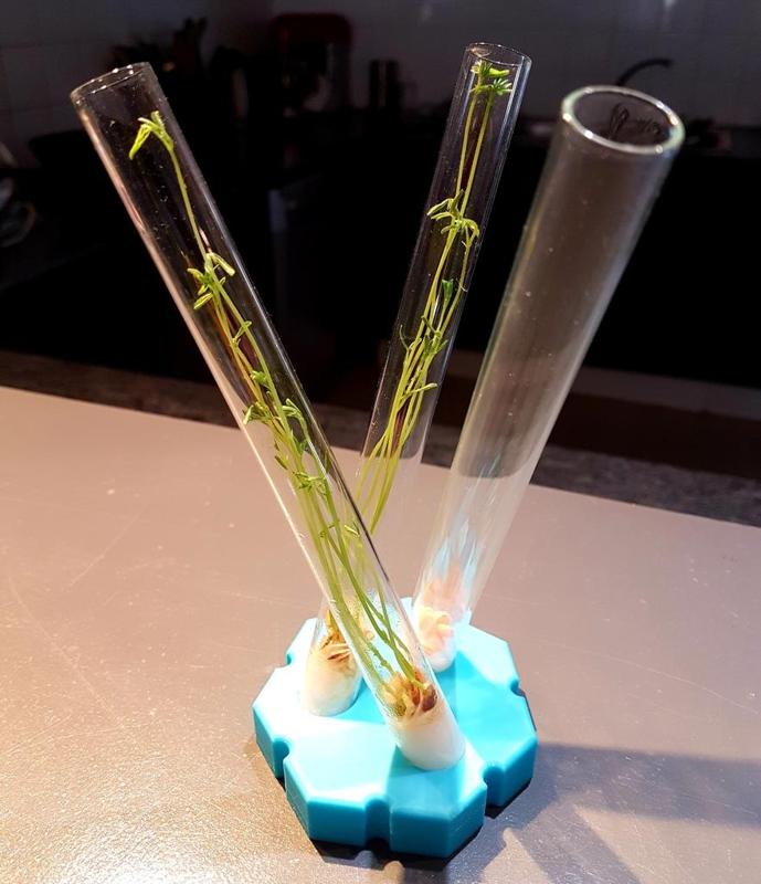 Hydroponic base for 3 glass test tube (Base ou support hydroponique 3 tubes à essais)