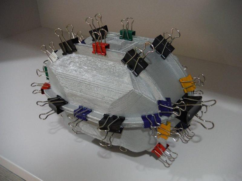 Human brain mold (anatomically correct)