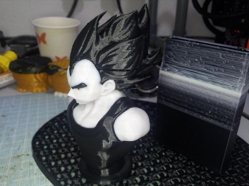 Muti-Coloured Vegeta Bust