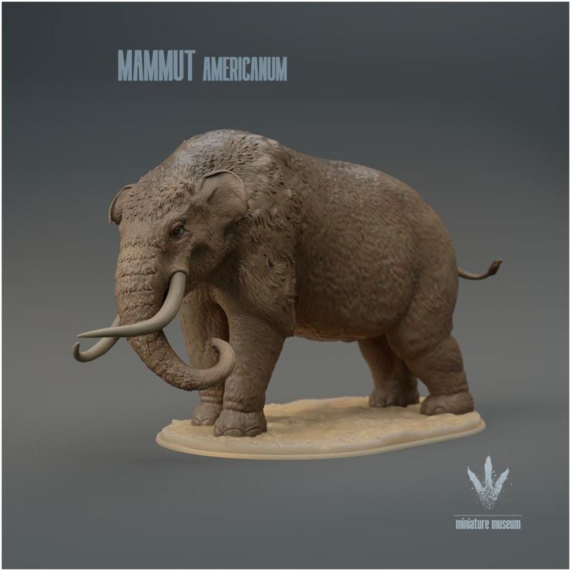 Mammut americanum : Warning