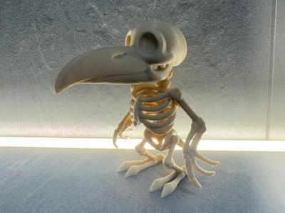 Crow skeleton