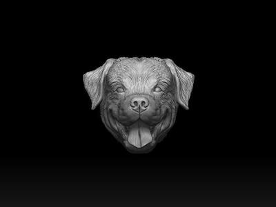 Rottweiler dog head 3d print model