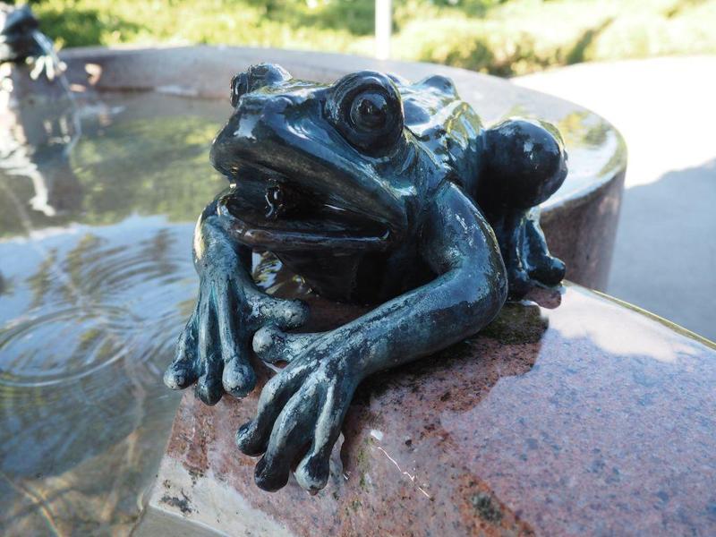 Frog from the fountain of Victor Tilgner