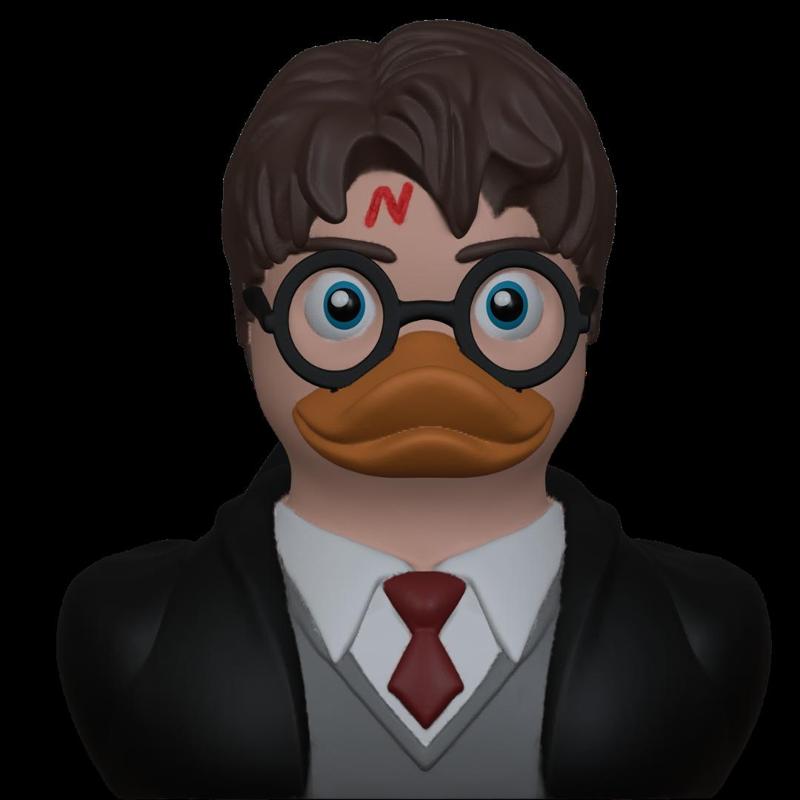 HARRY POTTER RUBBER DUCK