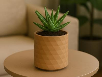 Living Room Pot for Succulents - Minimal and Modern