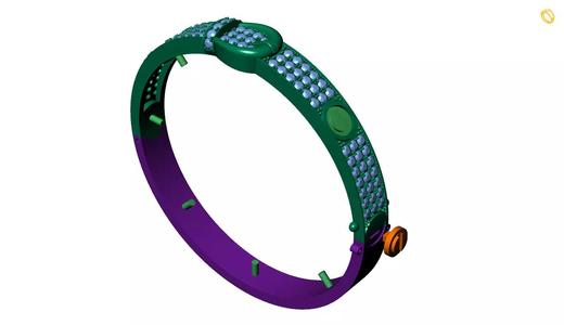 Belt Bangle