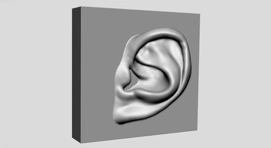 Ear Printable