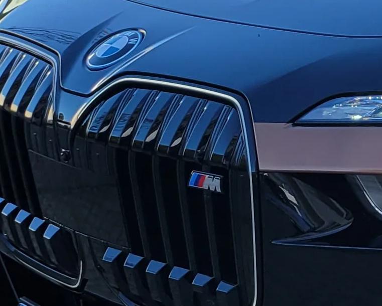 BMW M70 M Logo front grill