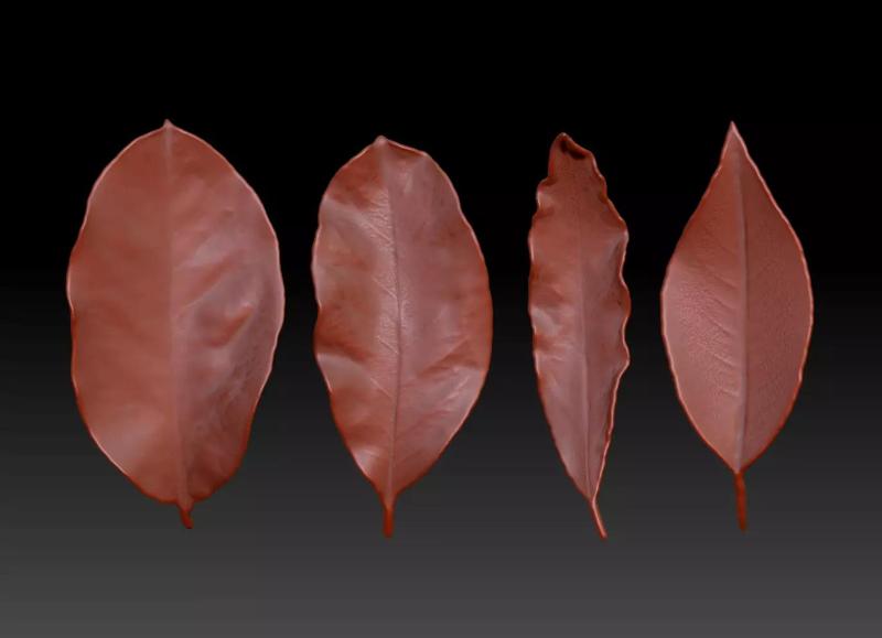 3D printing leaves Withered leaves Autumn leaves Leaf sculpture