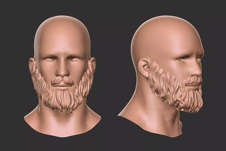 beard 2