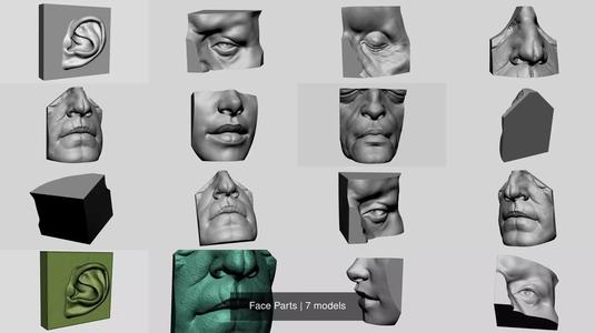 Face Parts 3D Model Collection
