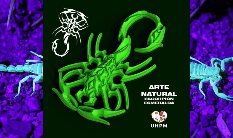 Natural Art - Emerald Scorpion