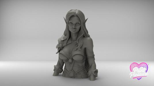 Elven Princess Warrior Bust 100mm – 3D Printable Model