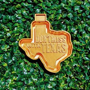 Don't Mess with Texas Freshie Mold Housing