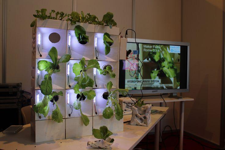 Hydroponic House System