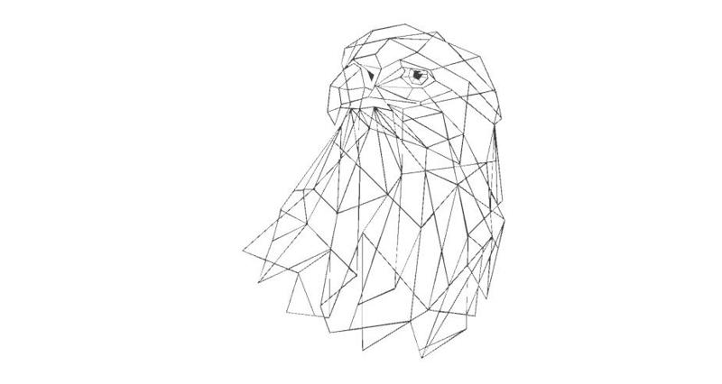 eagle GEOMETRIC