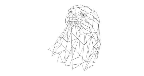 eagle GEOMETRIC