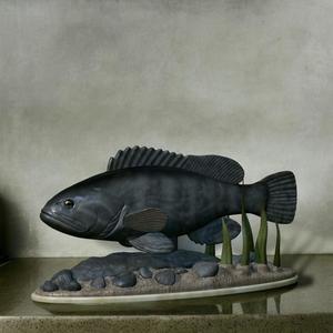 fish white grouper / Epinephelus aeneus  statue underwater detailed texture for 3d printing