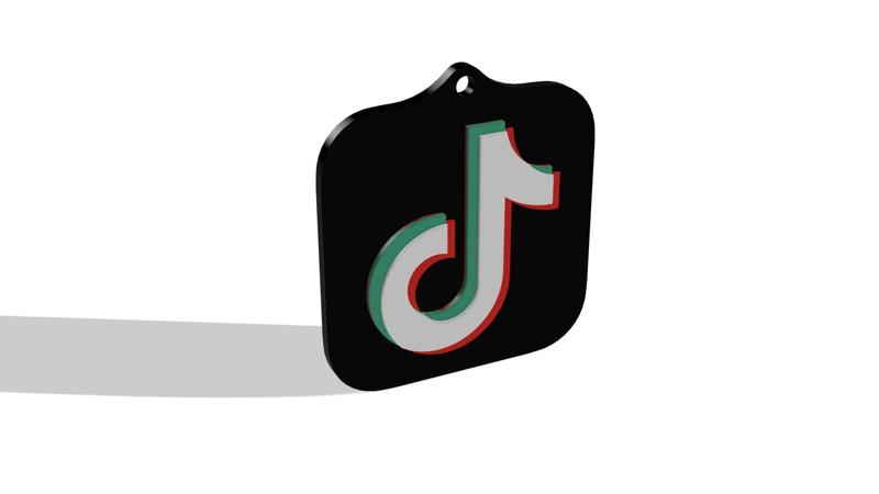 TikTok Logo Keychain - TikTok Keychain