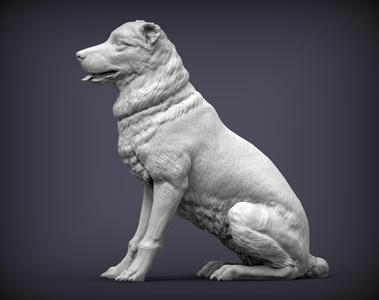 Central asian shepherd dog 3D print model