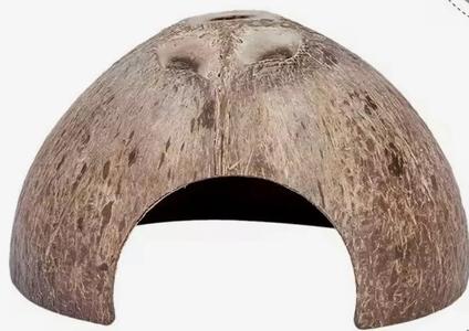 Coconut Hide   
