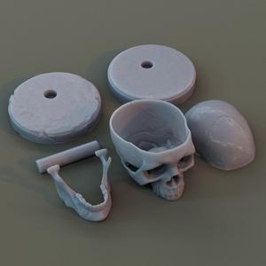 Hollow Skull with stand