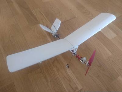 WASP - an RC lightweight plane