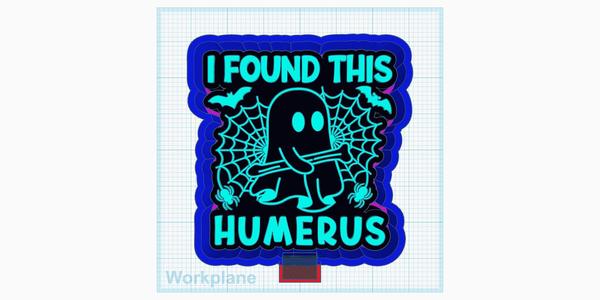 I found this humerus