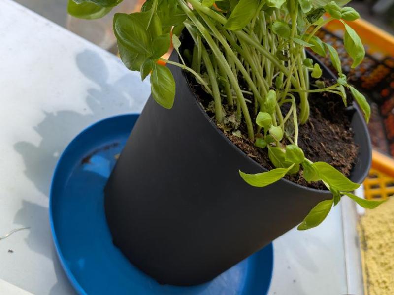 Air Pot Flower Pot Turbo for Herbs