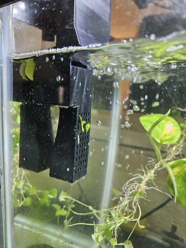 Inlet Outlet Filter for 10 Gallon Fish Tank