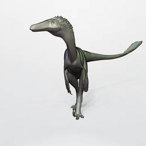 AUSTRORAPTOR