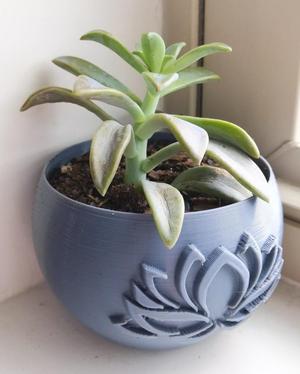 Succulent planter with drainage dish