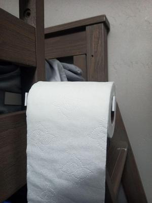 Toilet paper roll holder for shelf/desk