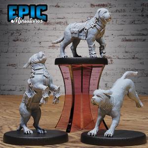 Raid Dog Set ‧ DnD Miniature ‧ Tabletop Miniatures ‧ Gaming Monster ‧ 3D Model ‧ RPG ‧ DnDminis ‧ STL FILE
