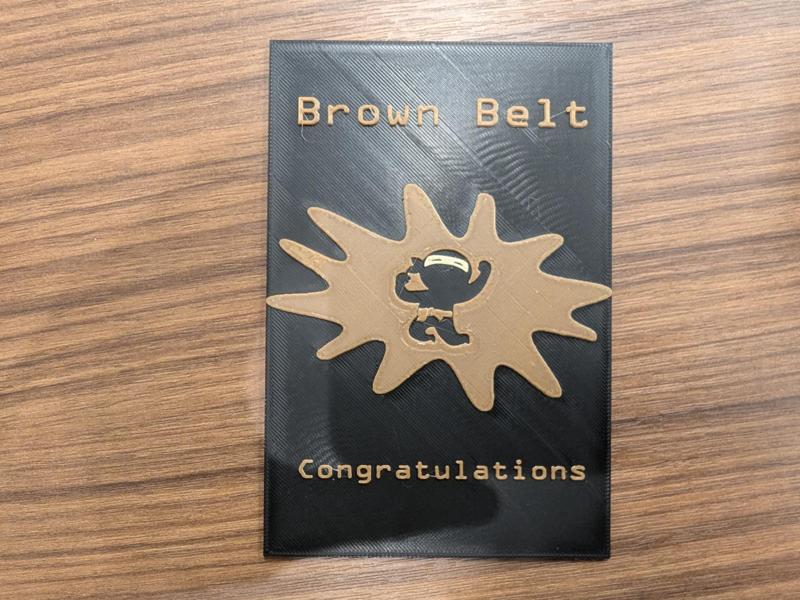 Code Ninjas/Martial Arts Brown Belt Plaque